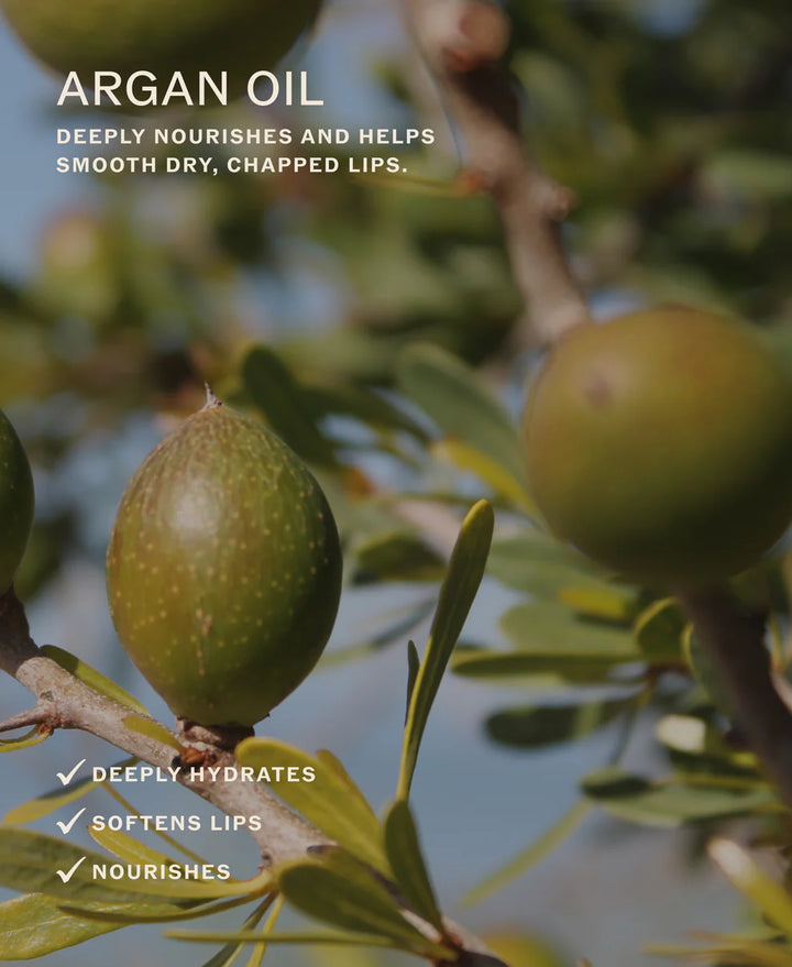 BAUME TRAITANT POUR LES LÈVRES LIP KARMA SAHĀJAN