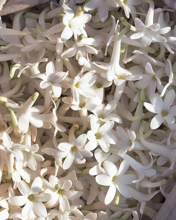 NOUVEAUTÉ Crème pour le visage à la soie & au jasmin Maison Aïsh