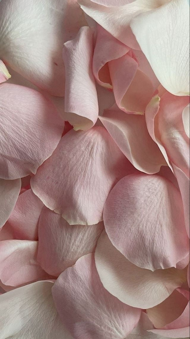 NOUVEAUTÉ Masque à la soie, rose & jasmin restaurateur peaux sensibles Maison Aïsh