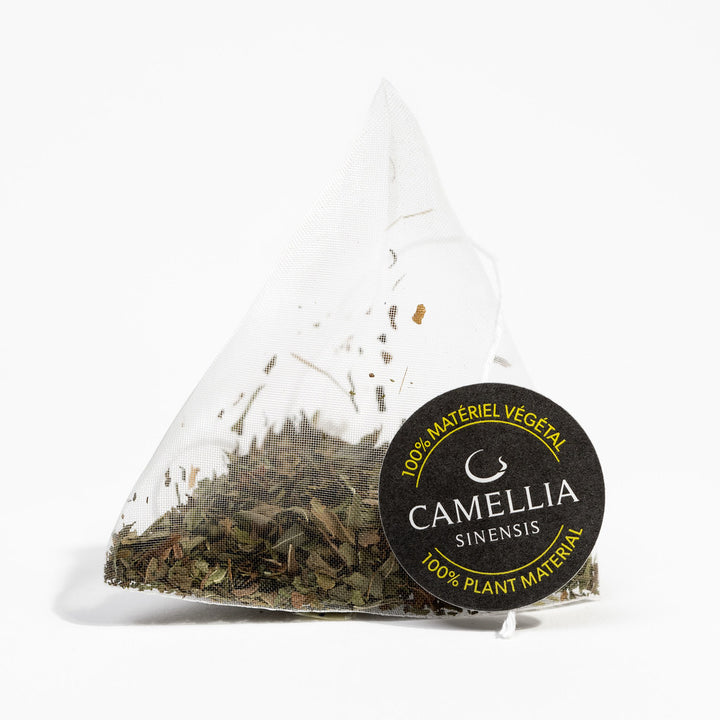 TISANE À LA MENTHE ÉGYPTIENNE BIOLOGIQUE