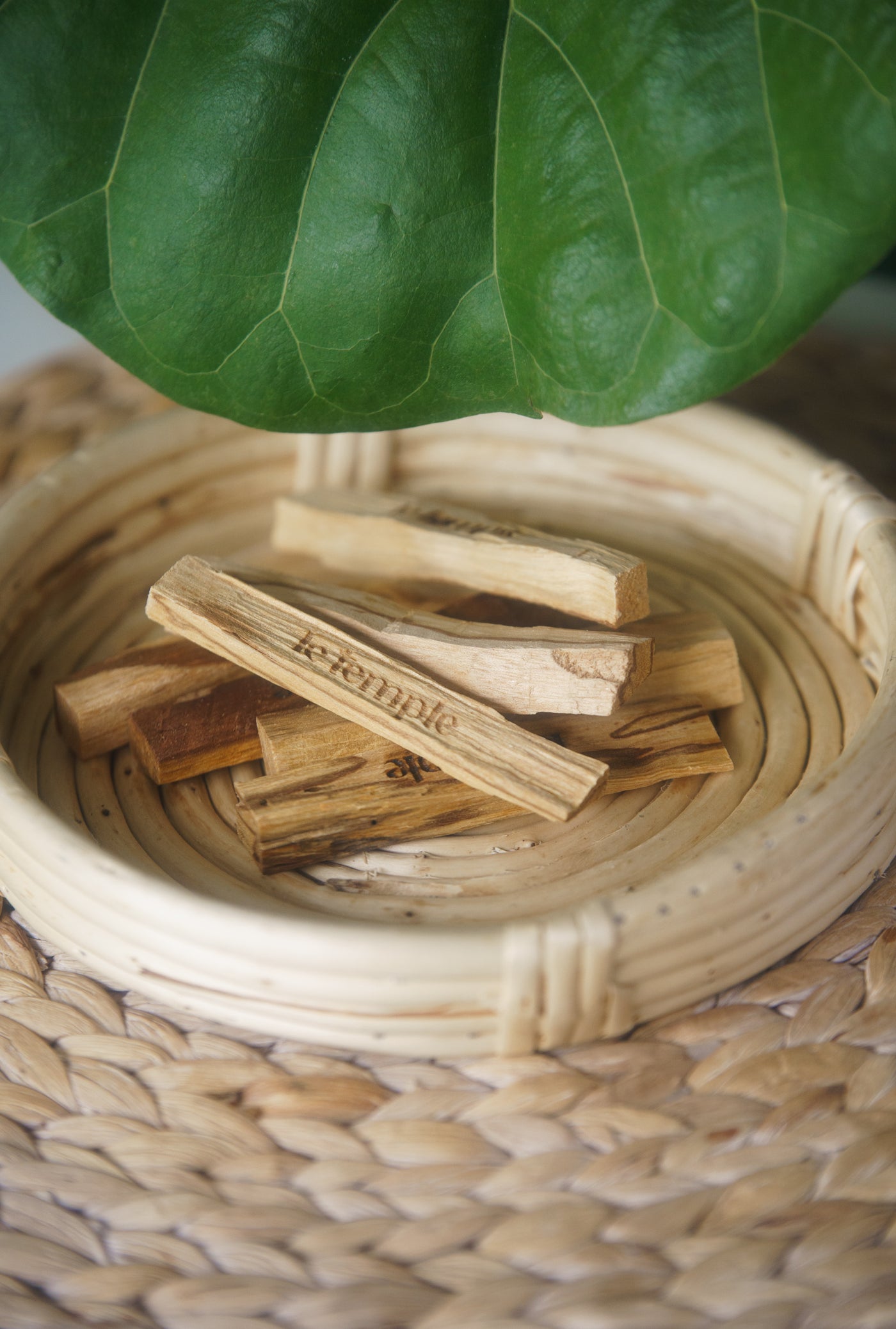 PALO SANTO