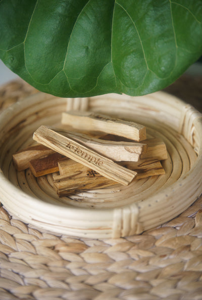 PALO SANTO