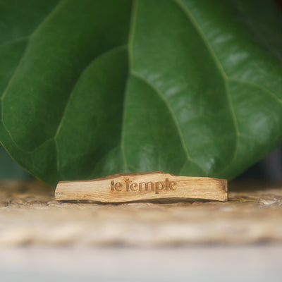 PALO SANTO